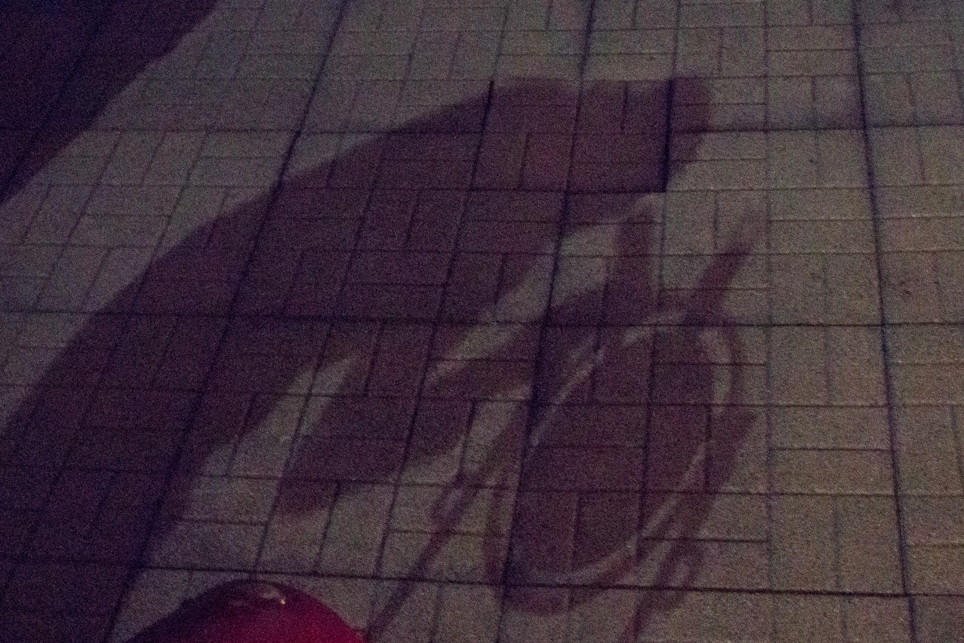 Peter_shadow_1920px