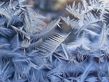 Moorcroft_ice_crystals_study_window