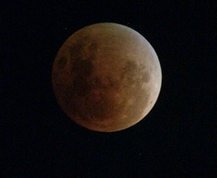 Eclipse through Ian's smartphone and telescope
